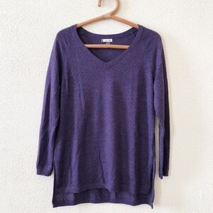 Smartwool Purple V Neck Tunic Sweater